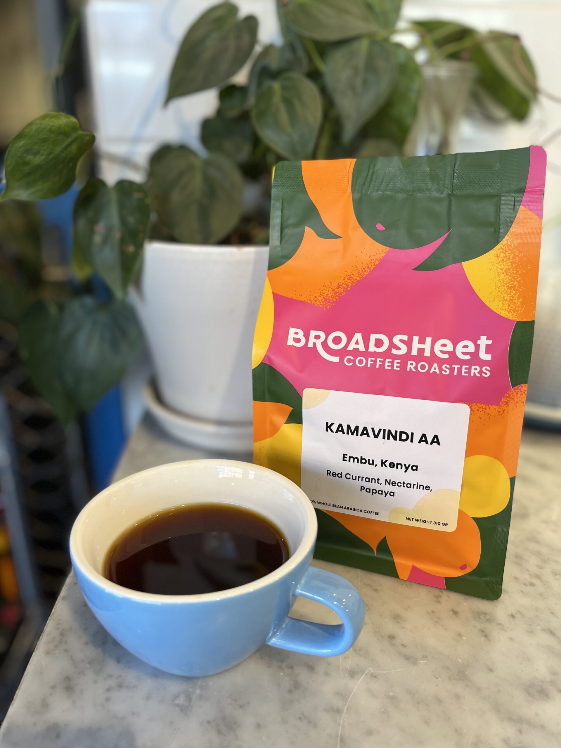 broadsheet coffee design sprudge 2