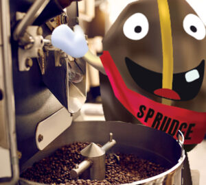 buzzy roaster sprudge