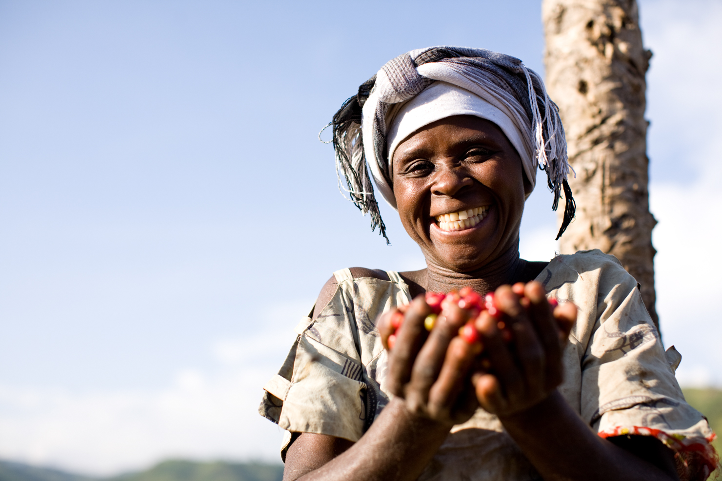 women coffee farmers production international trade centre female africa south america sprudge